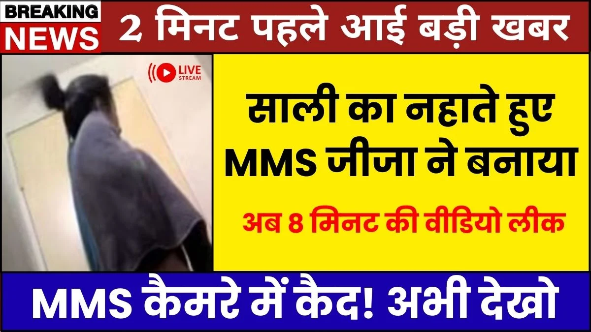 daily-use-unlimited-plan-low-cost-full-connectivity